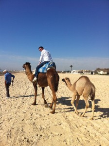 camera on camel
